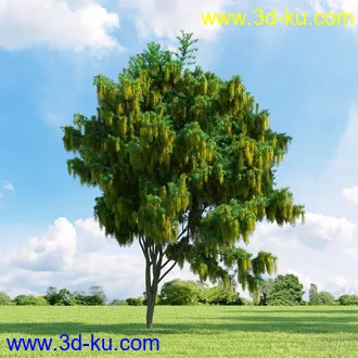 3D打印模型高精细树木34棵的图片
