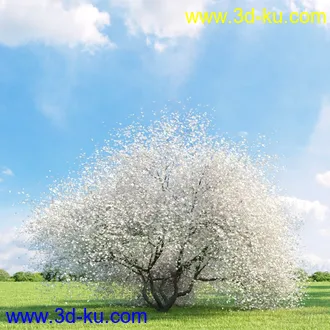3D打印模型高精细树木34棵的图片