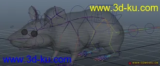 maya小白鼠模型 带绑定的图片