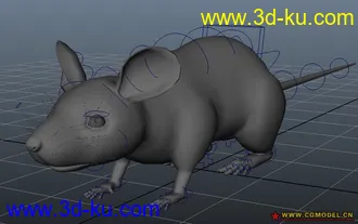 maya小白鼠模型 带绑定的图片
