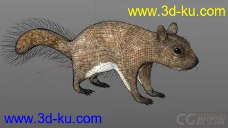 松鼠 c4d模型的图片