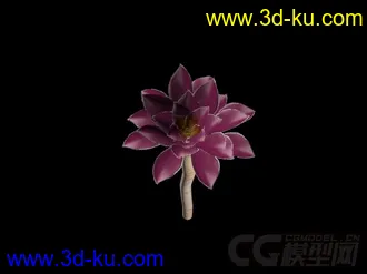 3D打印模型多肉植物，黑法师的图片