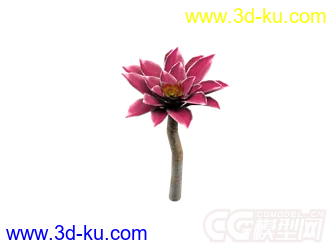 3D打印模型多肉植物，黑法师的图片