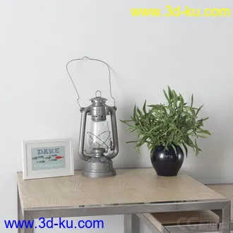 3D打印模型高精小摆件，写实，瓶子，花的图片