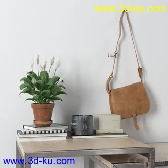 3D打印模型高精小摆件，写实，瓶子，背包，盆栽，书本的图片