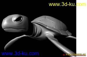 海龟模型的图片