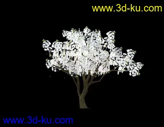 3D打印模型一颗梨树，低模，里面有0bj的图片