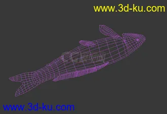 3D打印模型鱼，一条死鱼。的图片