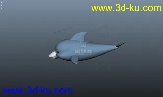 3D打印模型小海豚的图片