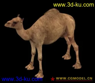 3D打印模型三角洲特种部队中的骆驼的图片