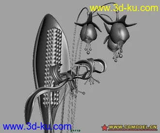 精致的花模型的图片