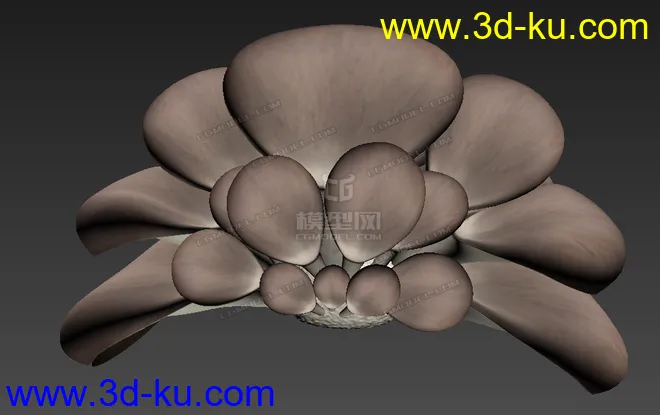 影视级写实蘑菇 侧耳蘑菇模型的图片1
