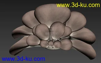 3D打印模型影视级写实蘑菇 侧耳蘑菇的图片