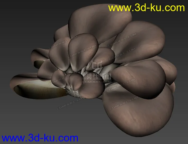 影视级写实蘑菇 侧耳蘑菇模型的图片2