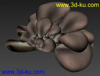 3D打印模型影视级写实蘑菇 侧耳蘑菇的图片