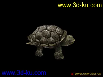 3D打印模型海龟的图片