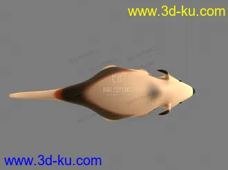 3D打印模型食蚁兽食蚁兽食蚁兽的图片