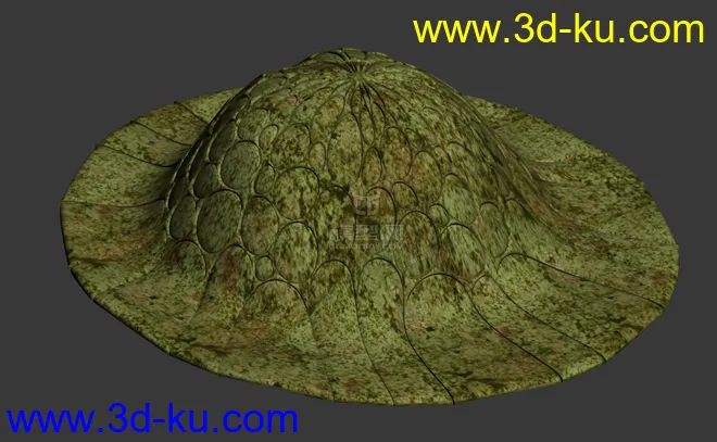 龟纹帽模型的图片1