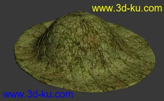 3D打印模型龟纹帽的图片