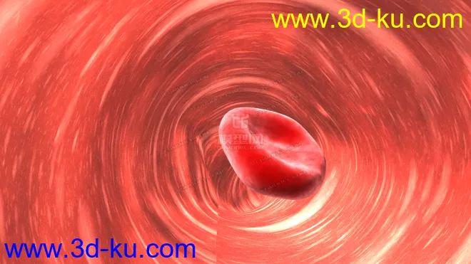 血管 血液 细胞模型的图片1