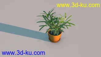 3D打印模型罗汉松的图片
