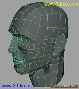 3D打印模型自己做的人头的图片