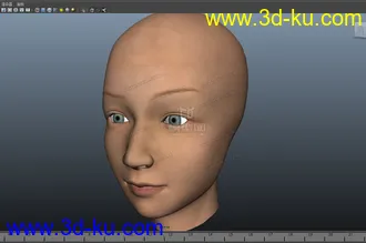 3D打印模型人头简模的图片