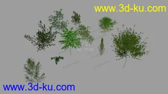3D打印模型小树的图片