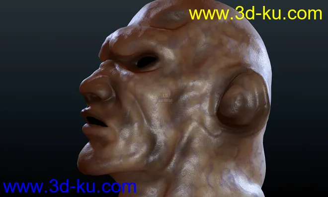 人物皮肤-血管-橡胶-胶皮-面具模型的图片2