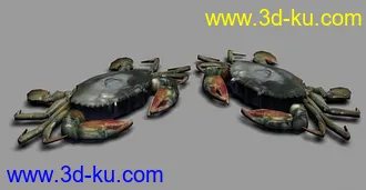 3D打印模型我自己做的螃蟹的图片