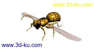 3D打印模型再发个自己做的蜜蜂,只有960个面（有贴图）的图片