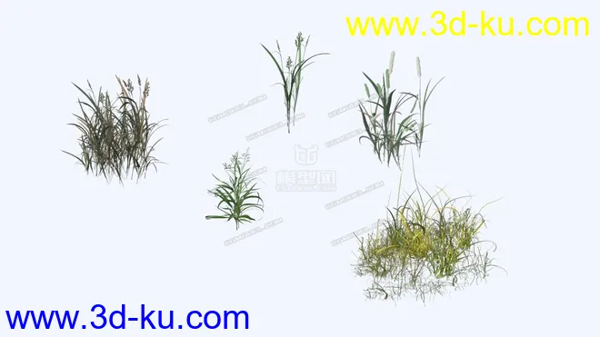 自己整理的几颗草的模型的图片1
