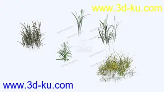 自己整理的几颗草的模型的图片