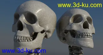 3D打印模型骷髅的图片
