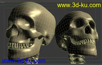 3D打印模型骷髅的图片