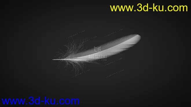 C4D羽毛  使用毛发制作模型的图片2