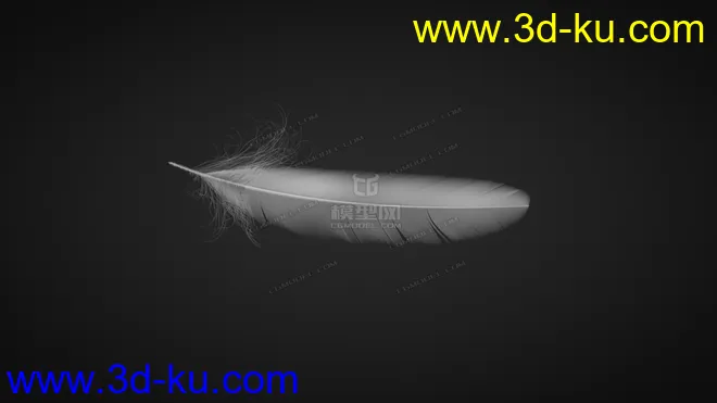 C4D羽毛  使用毛发制作模型的图片3