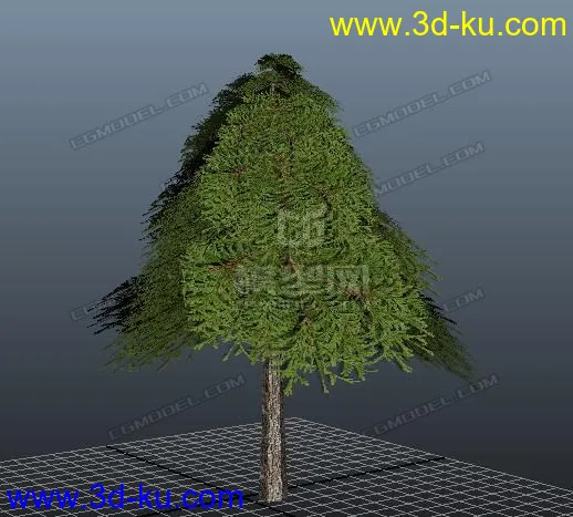 写实松树模型的图片1