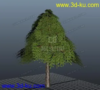 3D打印模型写实松树的图片