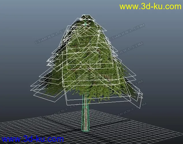 写实松树模型的图片2