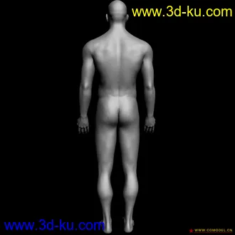 精致的男人体模型的图片