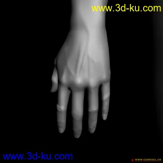 精致的男人体模型的图片