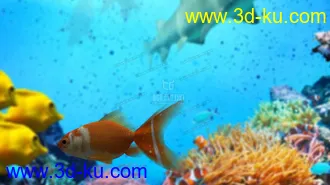 3D打印模型金鱼一条的图片