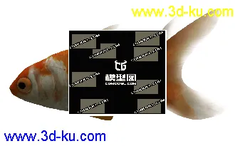 3D打印模型金鱼一条的图片