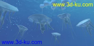 3D打印模型生物水母的图片