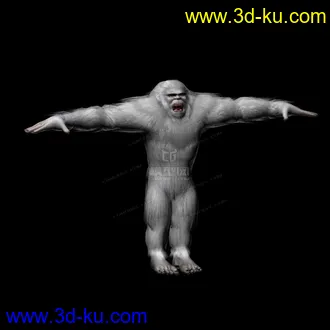 3D打印模型雪猩猩的图片