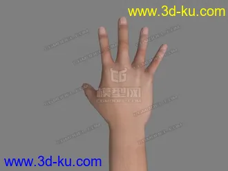 3D打印模型写实的低模男性手的图片