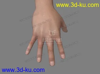 3D打印模型写实的低模男性手的图片