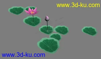 3D打印模型荷花的图片