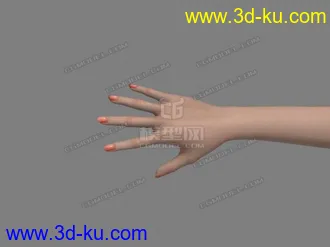 3D打印模型女性手，写实带点材质，已绑定的图片